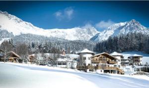 scheffau am wilden kaiser