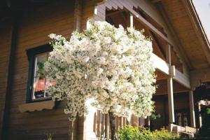 scheffau am wilden kaiser