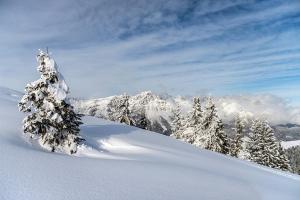 scheffau am wilden kaiser