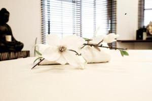 scheffau am wilden kaiser