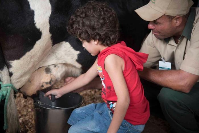 taua hotel and convention caete