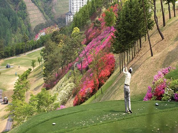 elysian gangchon resort