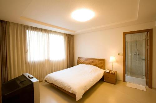 elysian gangchon resort