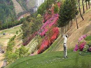 elysian gangchon resort
