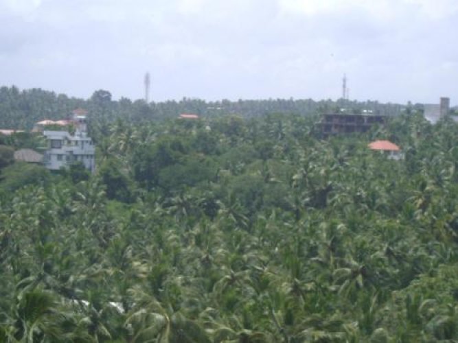 sun tara beach resort