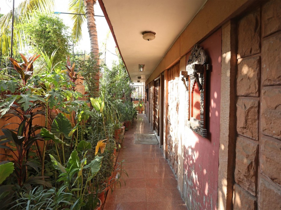 pioneer plaza jodhpur
