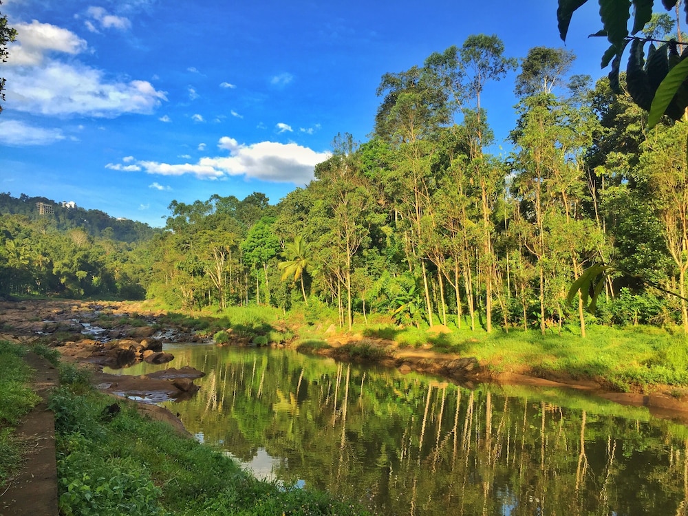 avondale luxury home stay