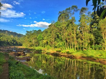 avondale luxury home stay