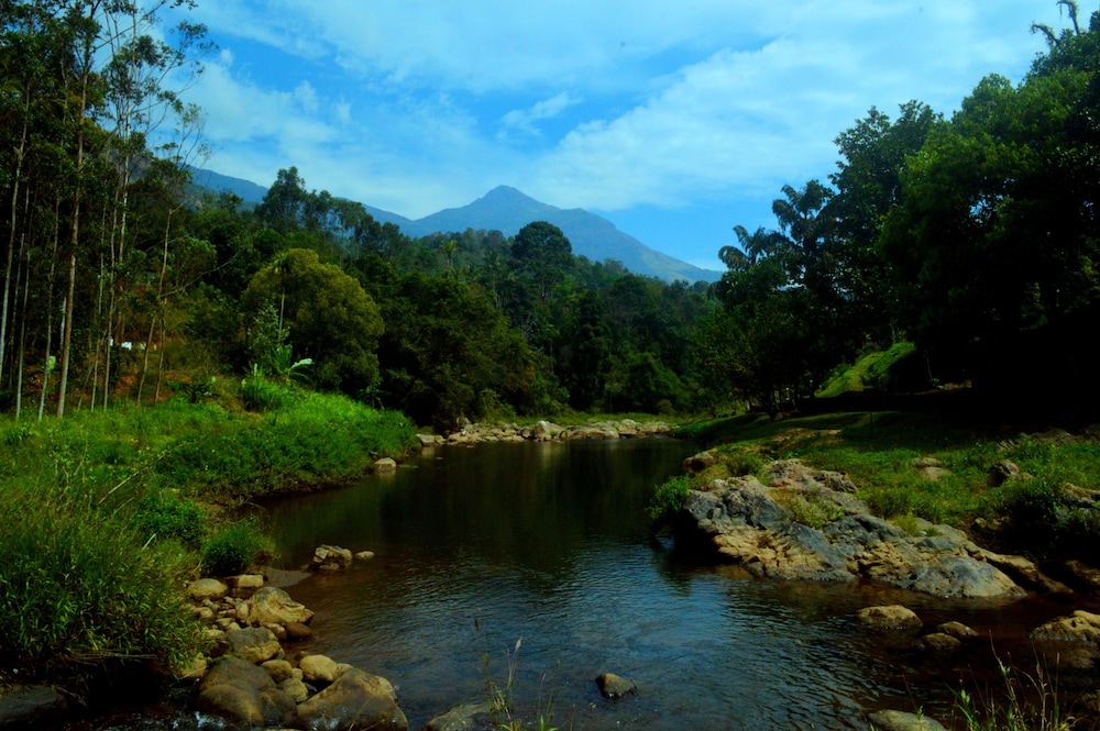 avondale luxury home stay