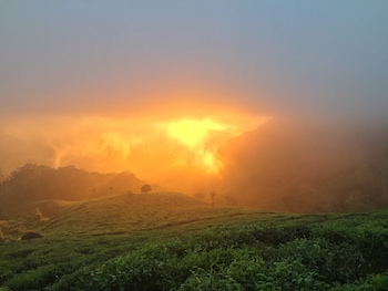 avondale luxury home stay