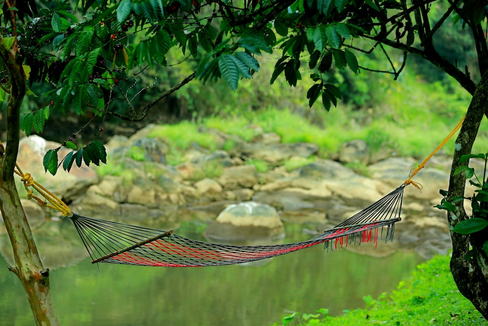 avondale luxury home stay