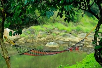 avondale luxury home stay