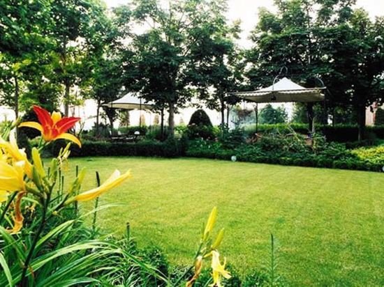 hotel globo