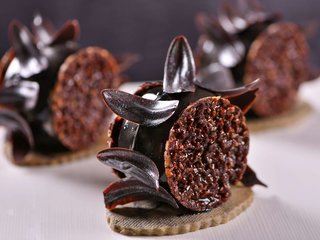 m grand hotel doha city centre adults only