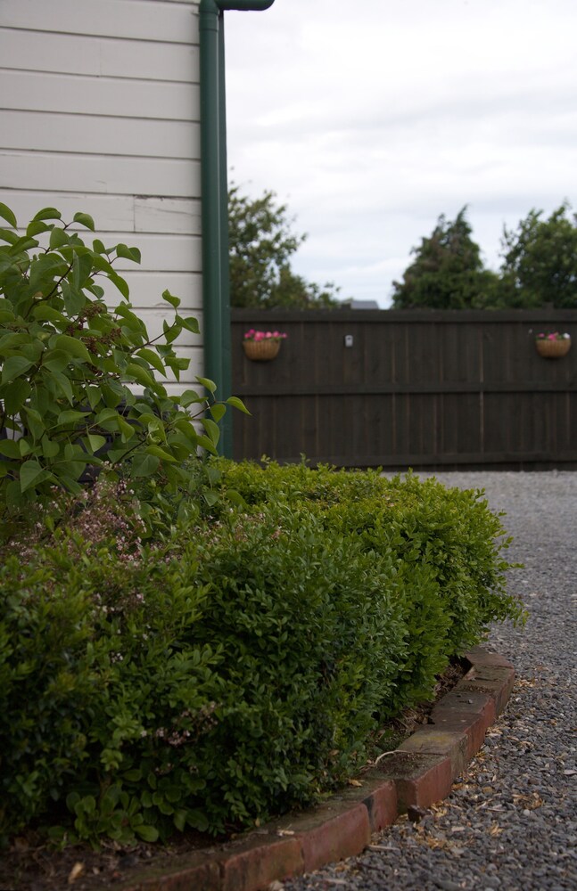 pinedale lodge and apartment