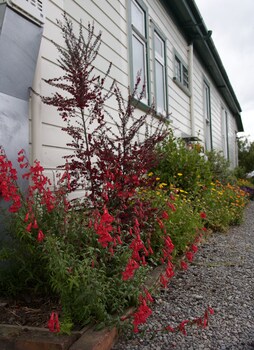 pinedale lodge and apartment