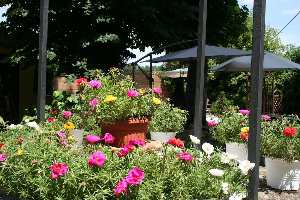 residence alle scuole