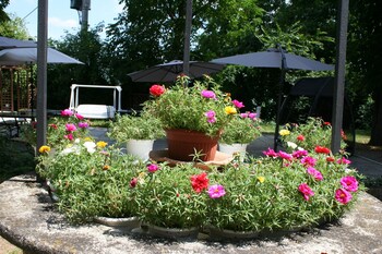residence alle scuole