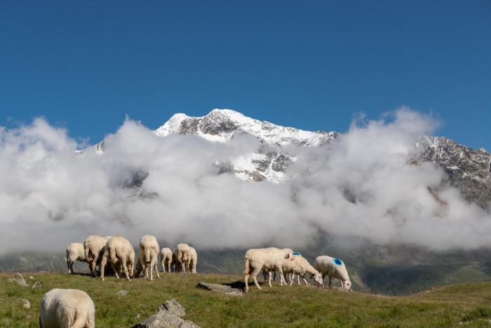natur andalpinhotel post