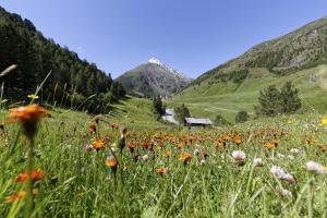 Natur-&Alpinhotel Post,Imst>>Hochgurgl,4 star