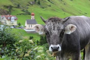 natur andalpinhotel post