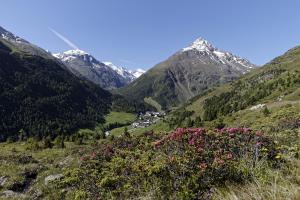 natur andalpinhotel post
