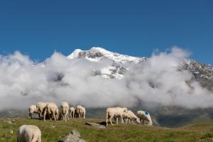 natur andalpinhotel post