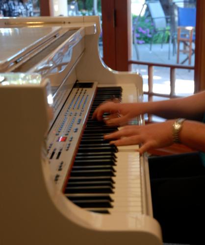 distinction coachman hotel palmerston north