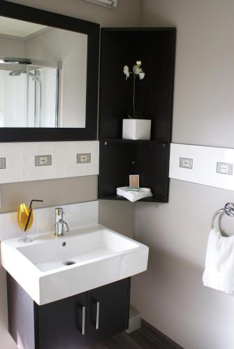 distinction coachman hotel palmerston north