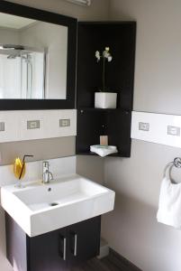 distinction coachman hotel palmerston north