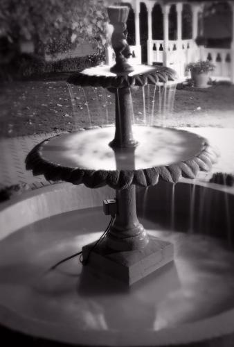 distinction coachman hotel palmerston north