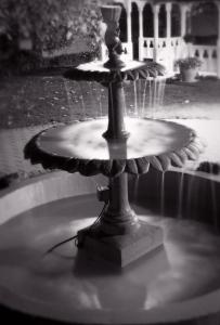 distinction coachman hotel palmerston north