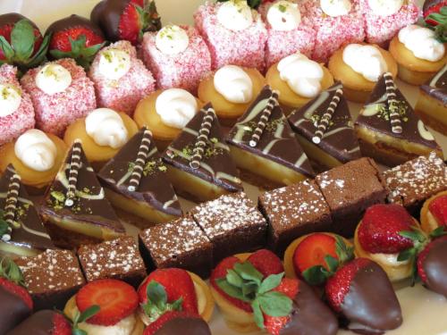 distinction coachman hotel palmerston north