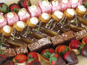 distinction coachman hotel palmerston north