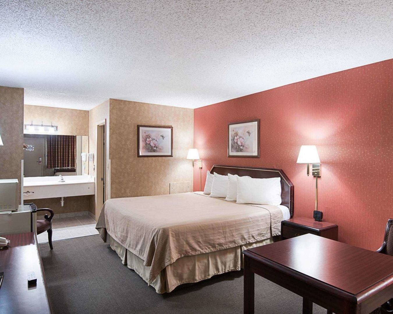 econo lodge lynchburg south