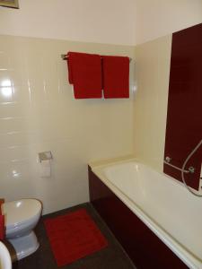 saalbach hinterglemm