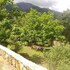 villa praesidio
