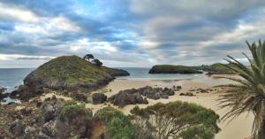 apartamentos albatros