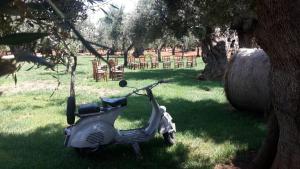 masseria san martino