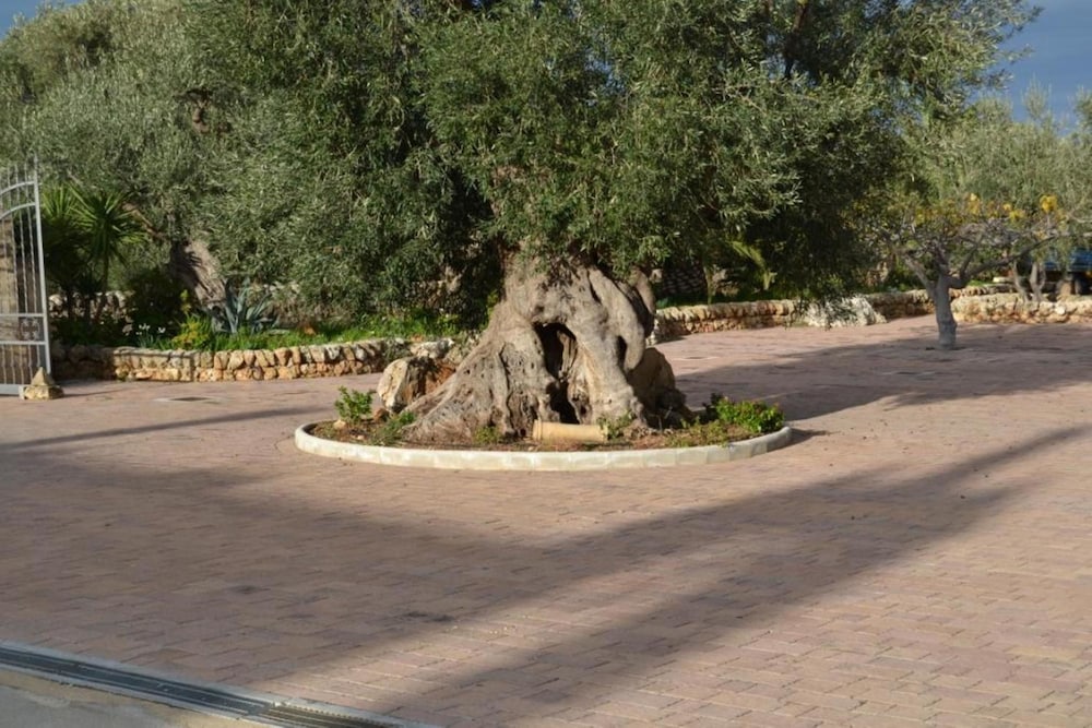 masseria san martino