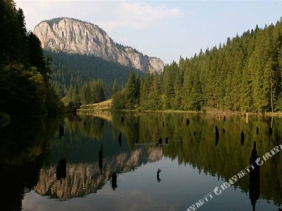 hotel restaurant gonduzo