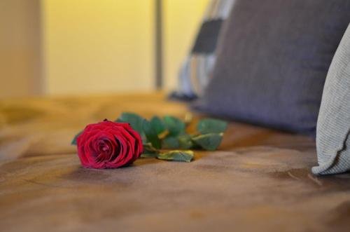 hotel restaurant gonduzo