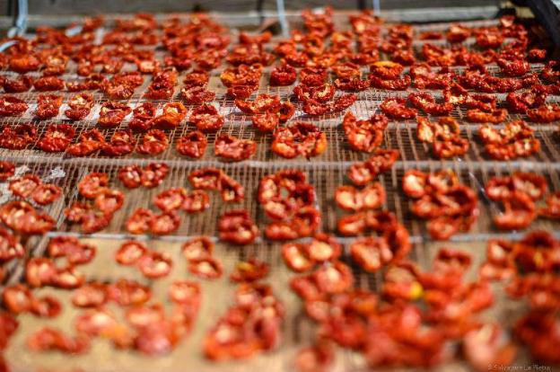 agriturismo vultaggio