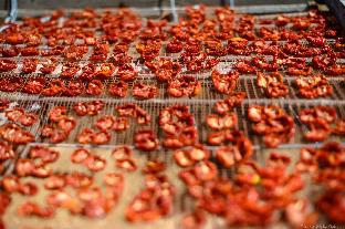 agriturismo vultaggio