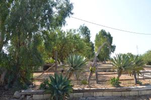 agriturismo vultaggio