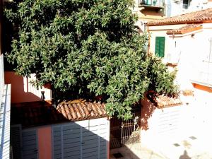 residenza il nespolo estella hotels italia