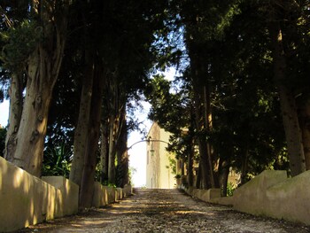 villa giardinata