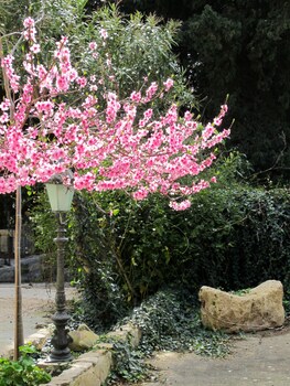 villa giardinata