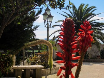 villa giardinata