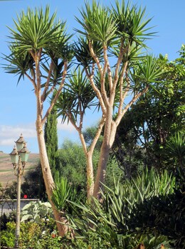 villa giardinata